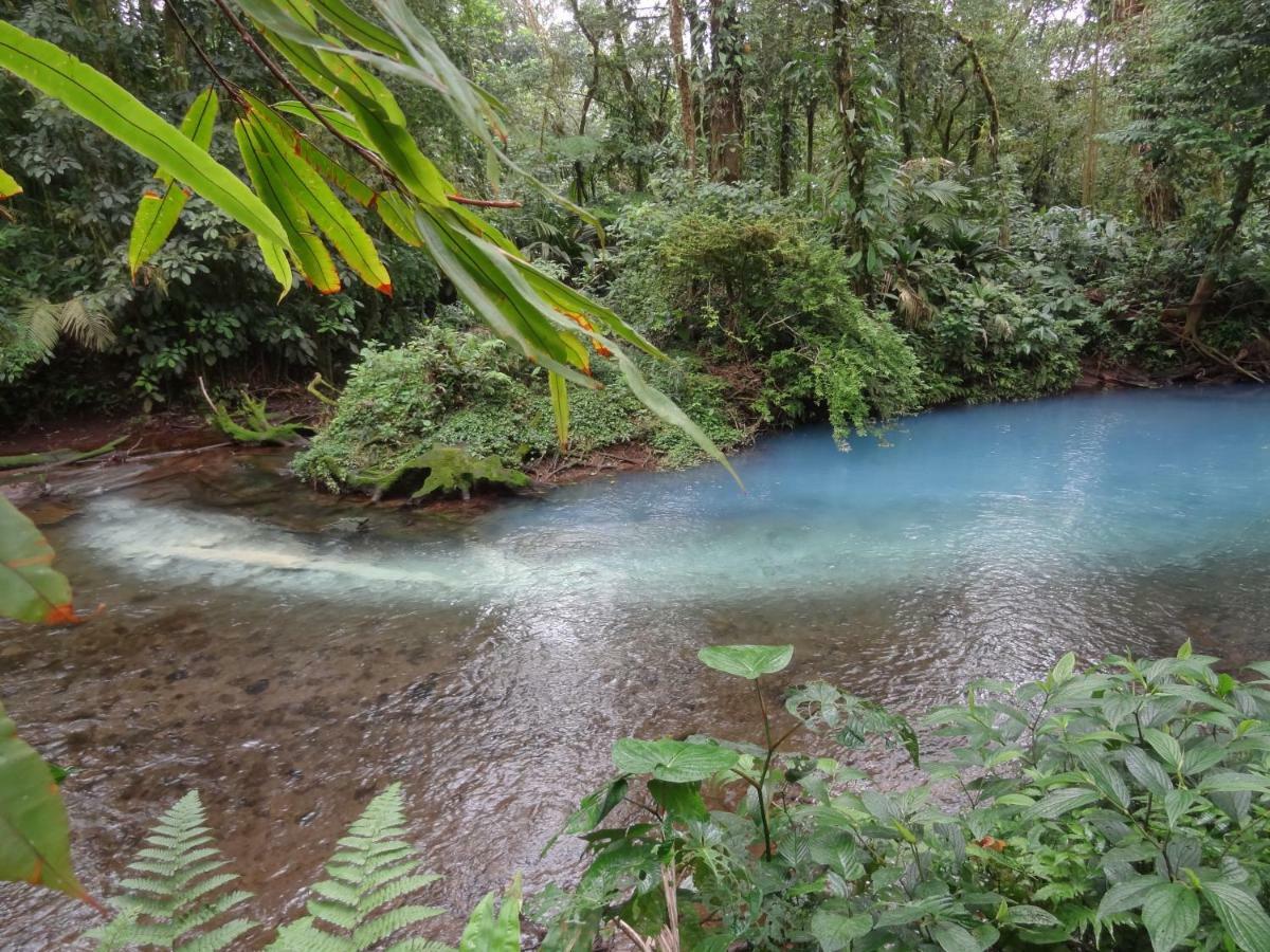 Hotel Rio Celeste Finca L' Etoile Celeste El Achiote Εξωτερικό φωτογραφία