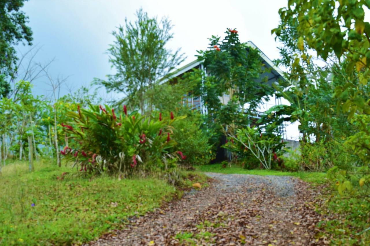 Hotel Rio Celeste Finca L' Etoile Celeste El Achiote Εξωτερικό φωτογραφία
